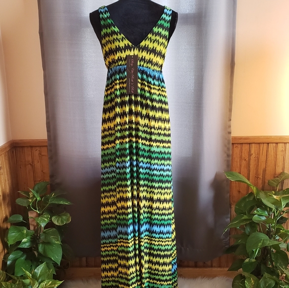 NWT multi colored maxi dress - Picture 4 of 6